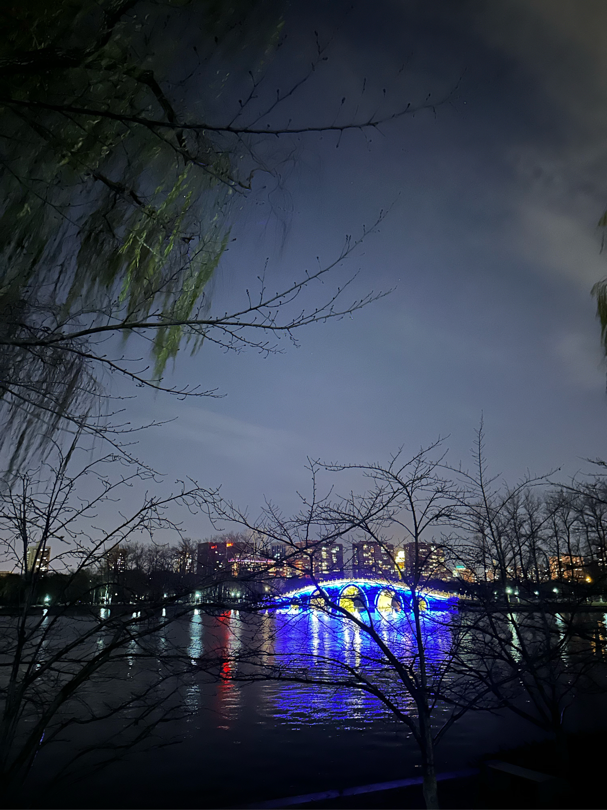 开云网站-包含&quot;城市夜空跑：点亮夜色，追逐梦想&quot;的词条